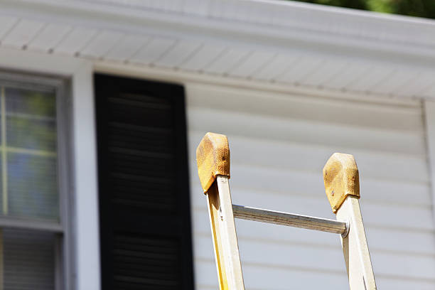 Best Custom Trim and Detailing for Siding  in Monessen, PA